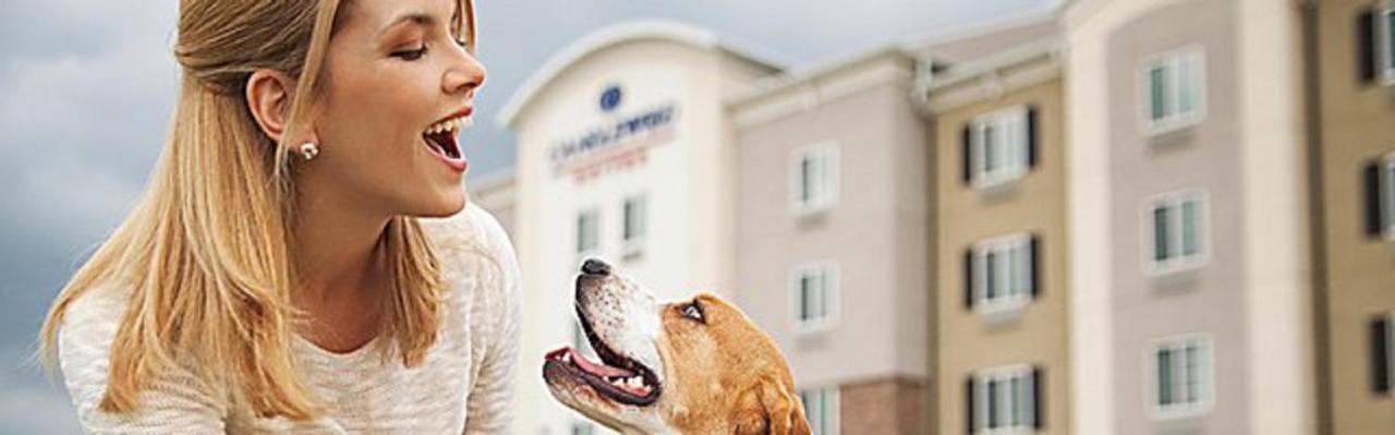 Hotel Candlewood Dfw West - By Ihg
